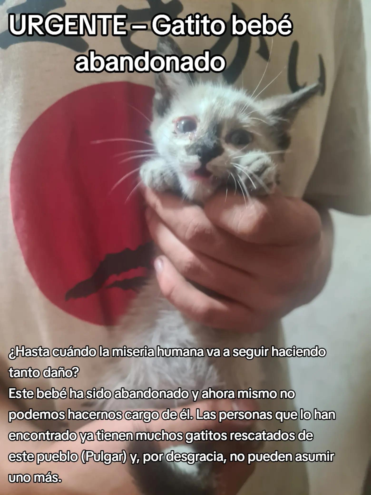 @garritasespaciales