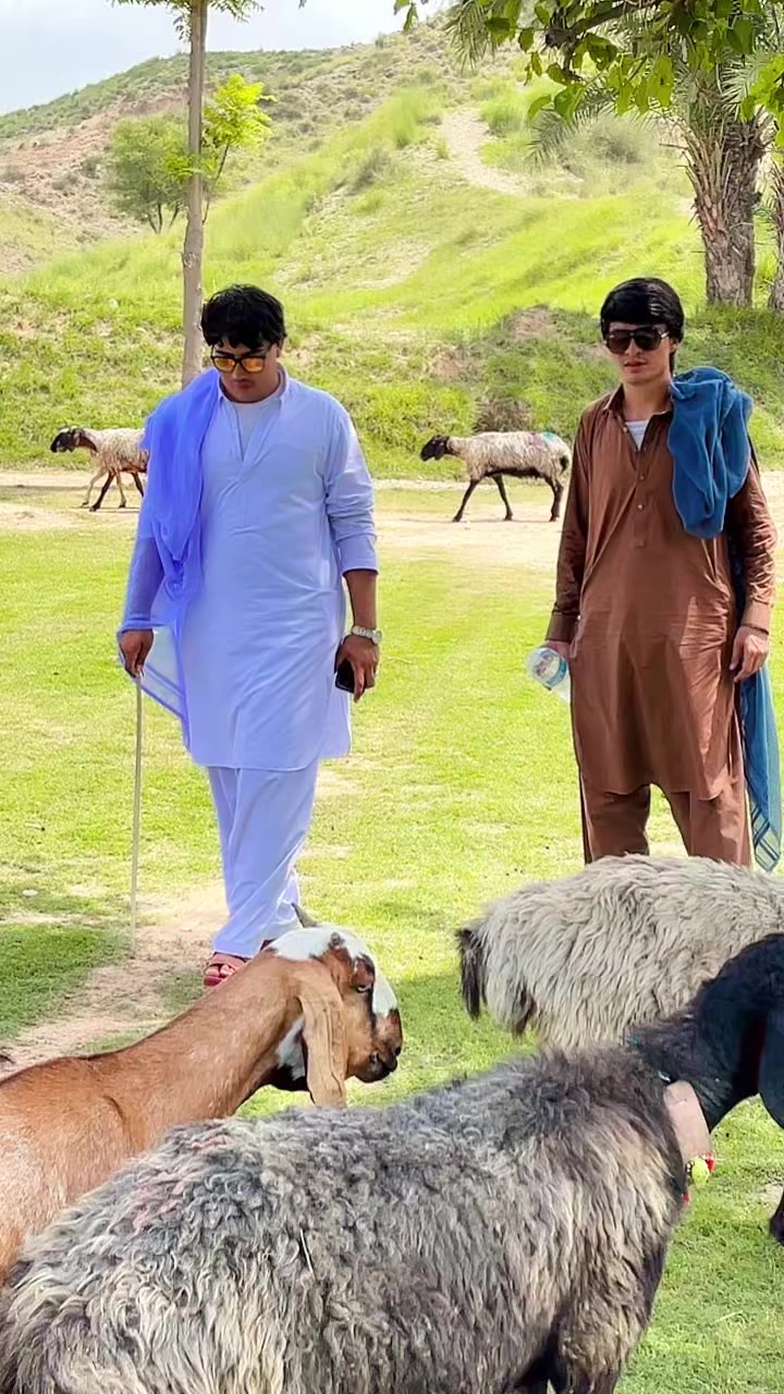 @🥀 Hasnain 💔 Gulli🥀
