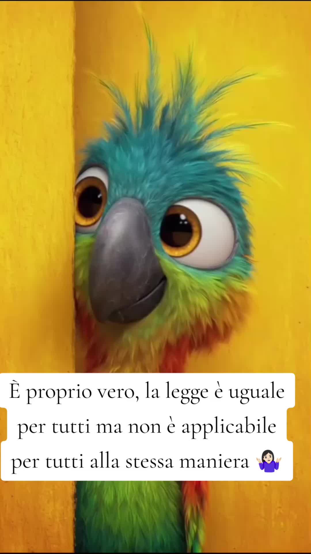 @💜SenzaOffesa 🐦&zwj;🔥🐺