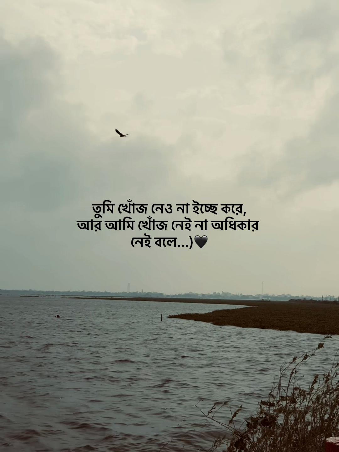 @Jahidul lslam 95