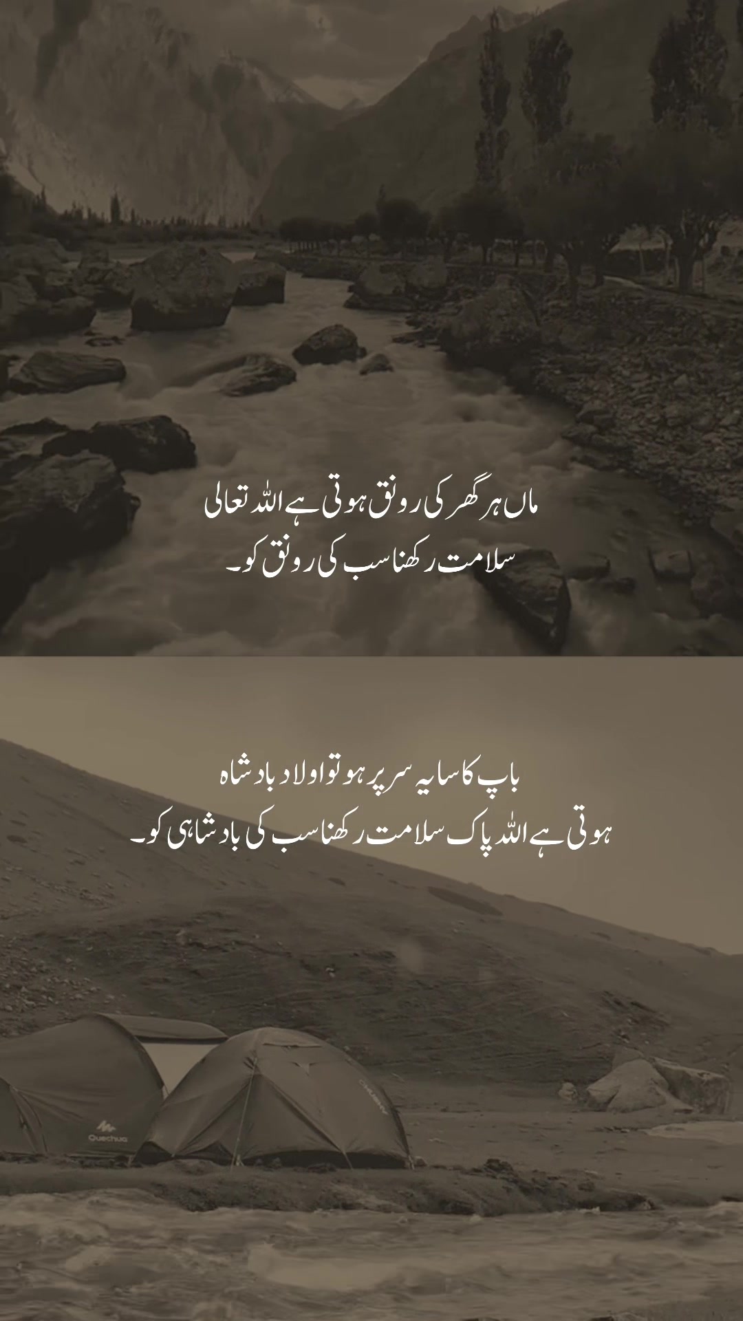 @𓆩شیراز𓆪