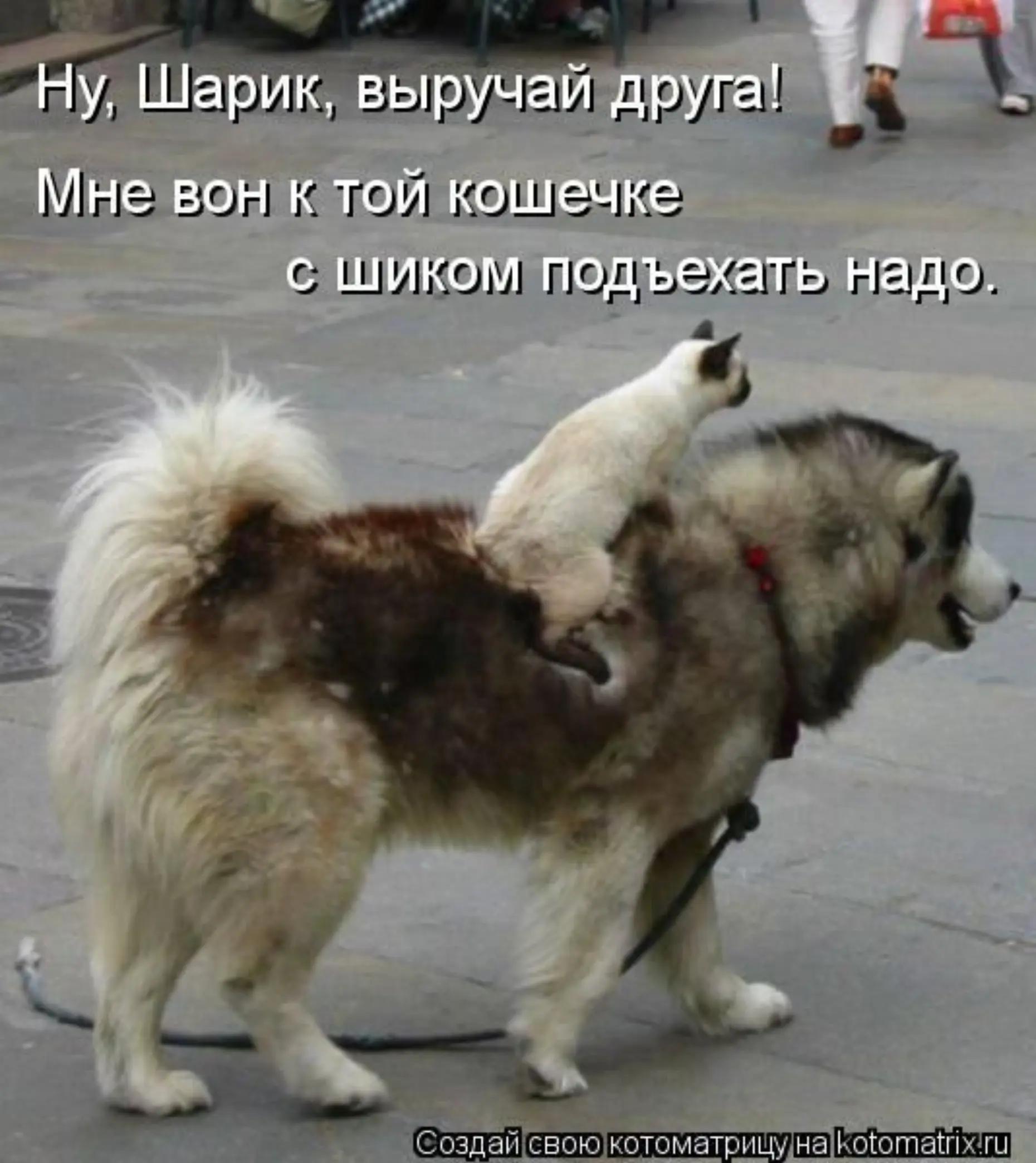 @Ludmila B