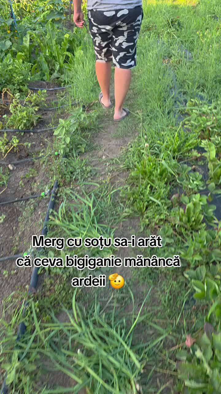 @georgiana_moldovan_90