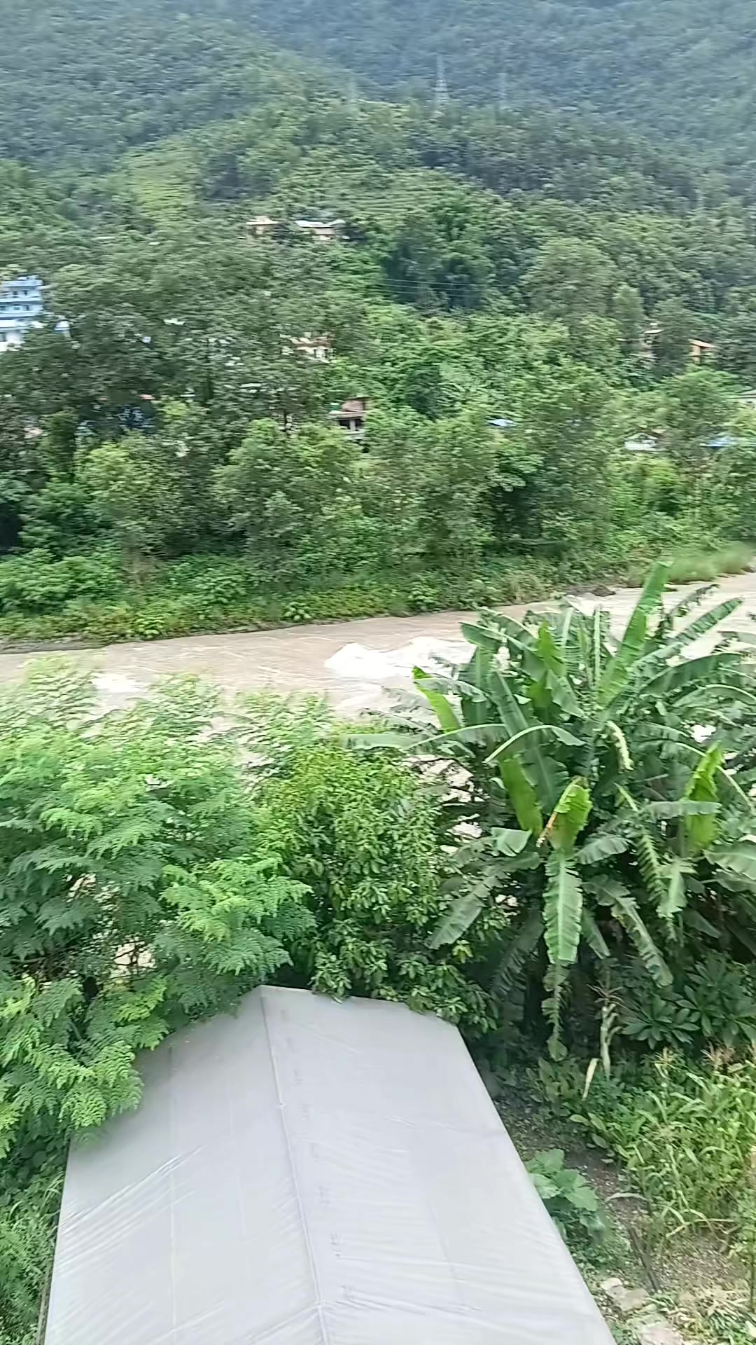 @sanumaya tamang