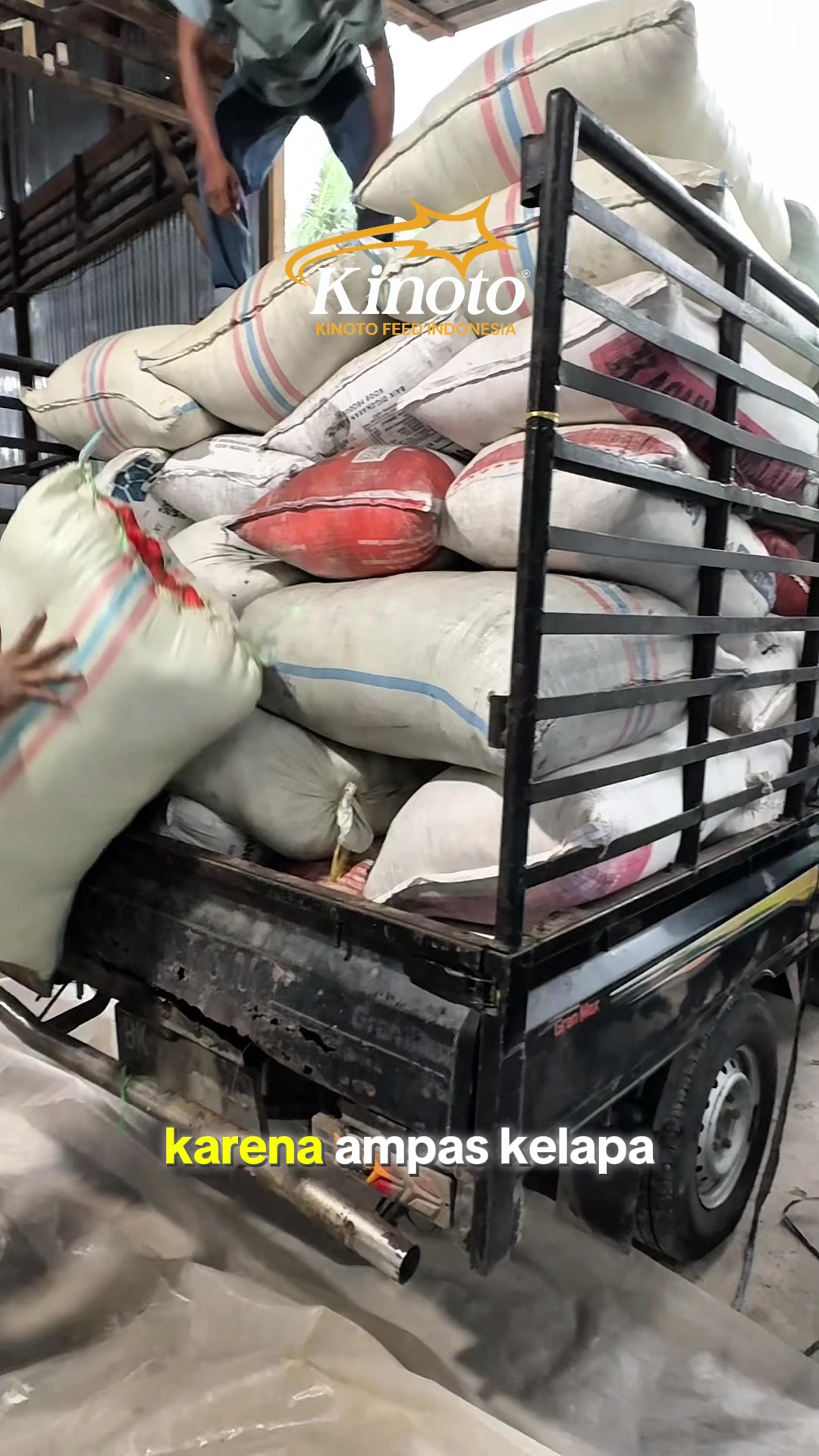 @CV. KINOTO FEED INDONESIA