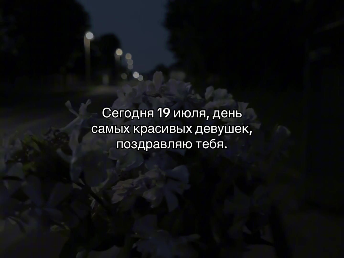 @ᴍᴜsɪᴄ ɪs ᴍʏ ʟɪꜰᴇ