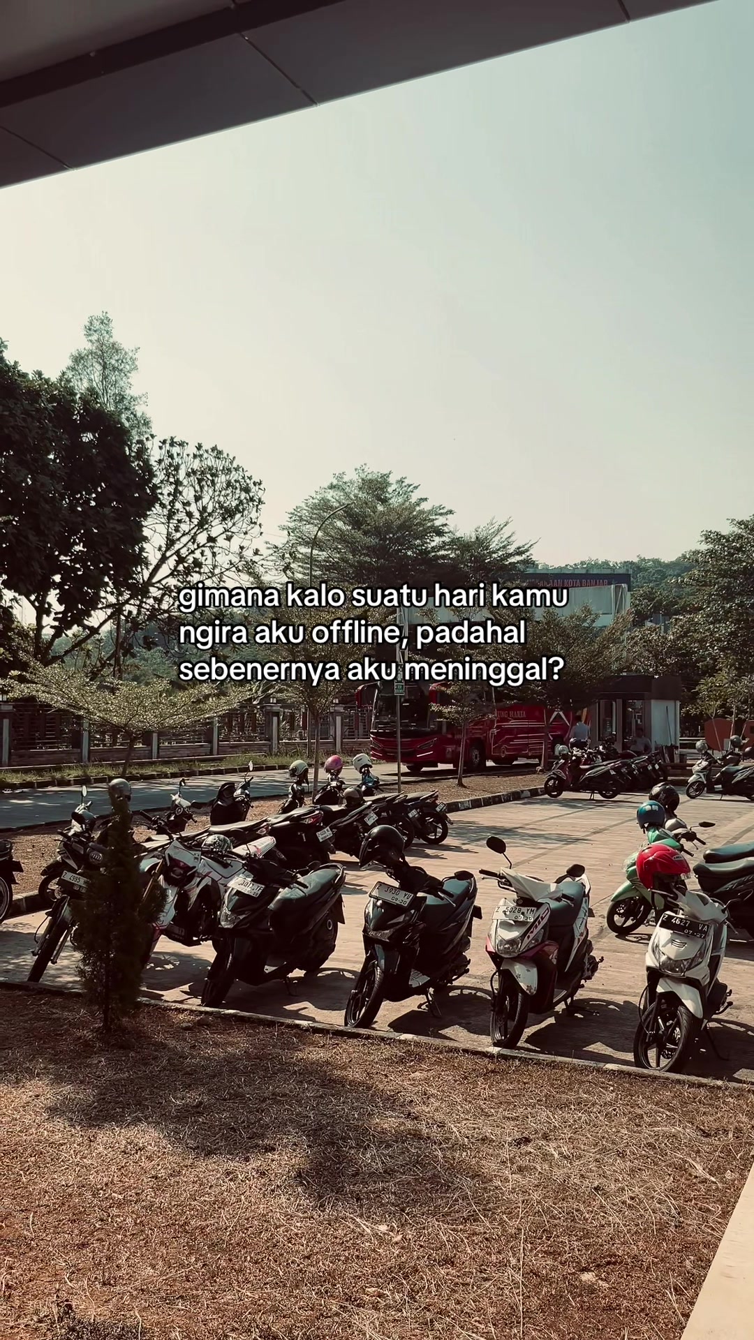@sayforhagordb_1
