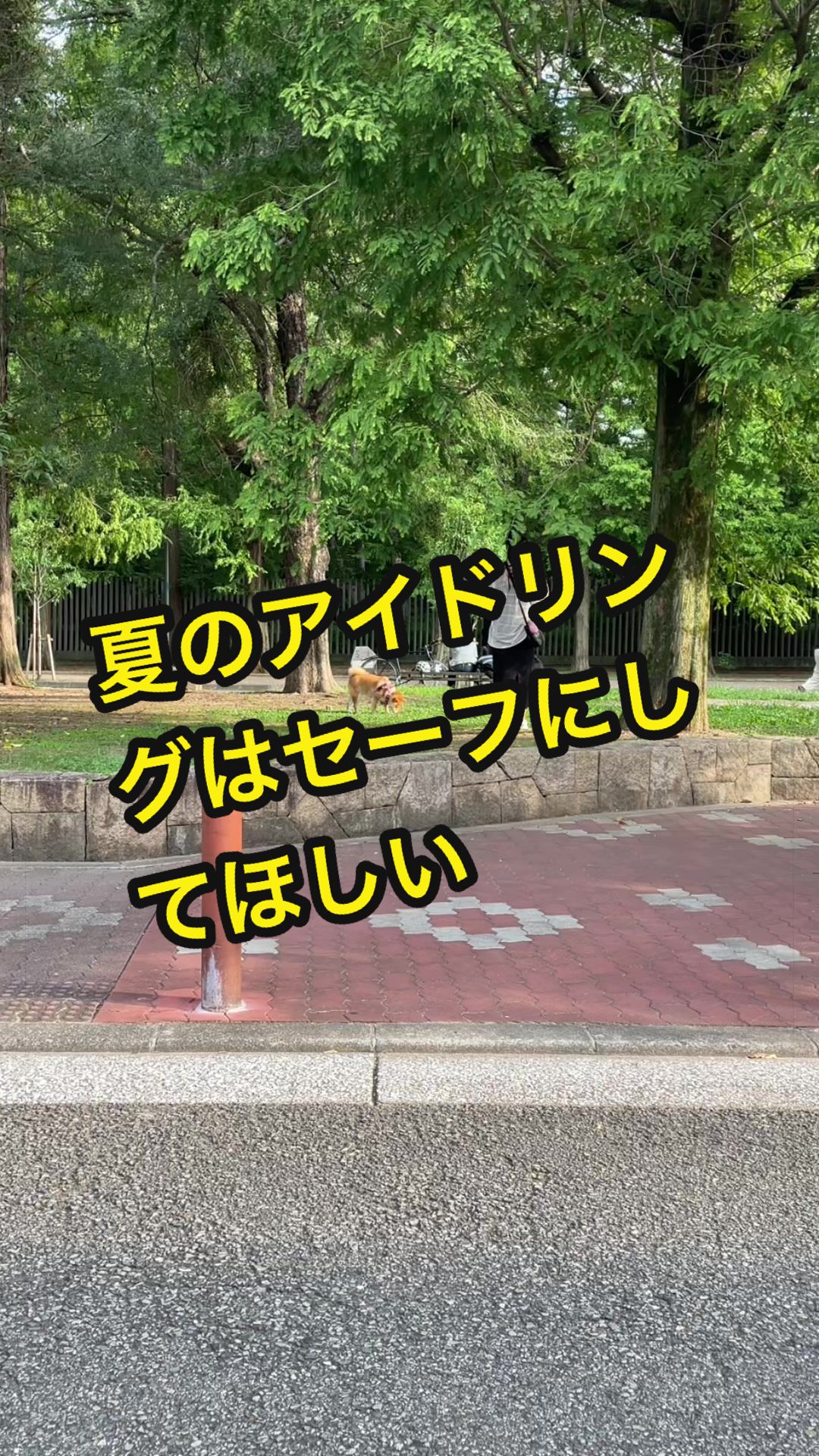 @特に柴犬が好きな人