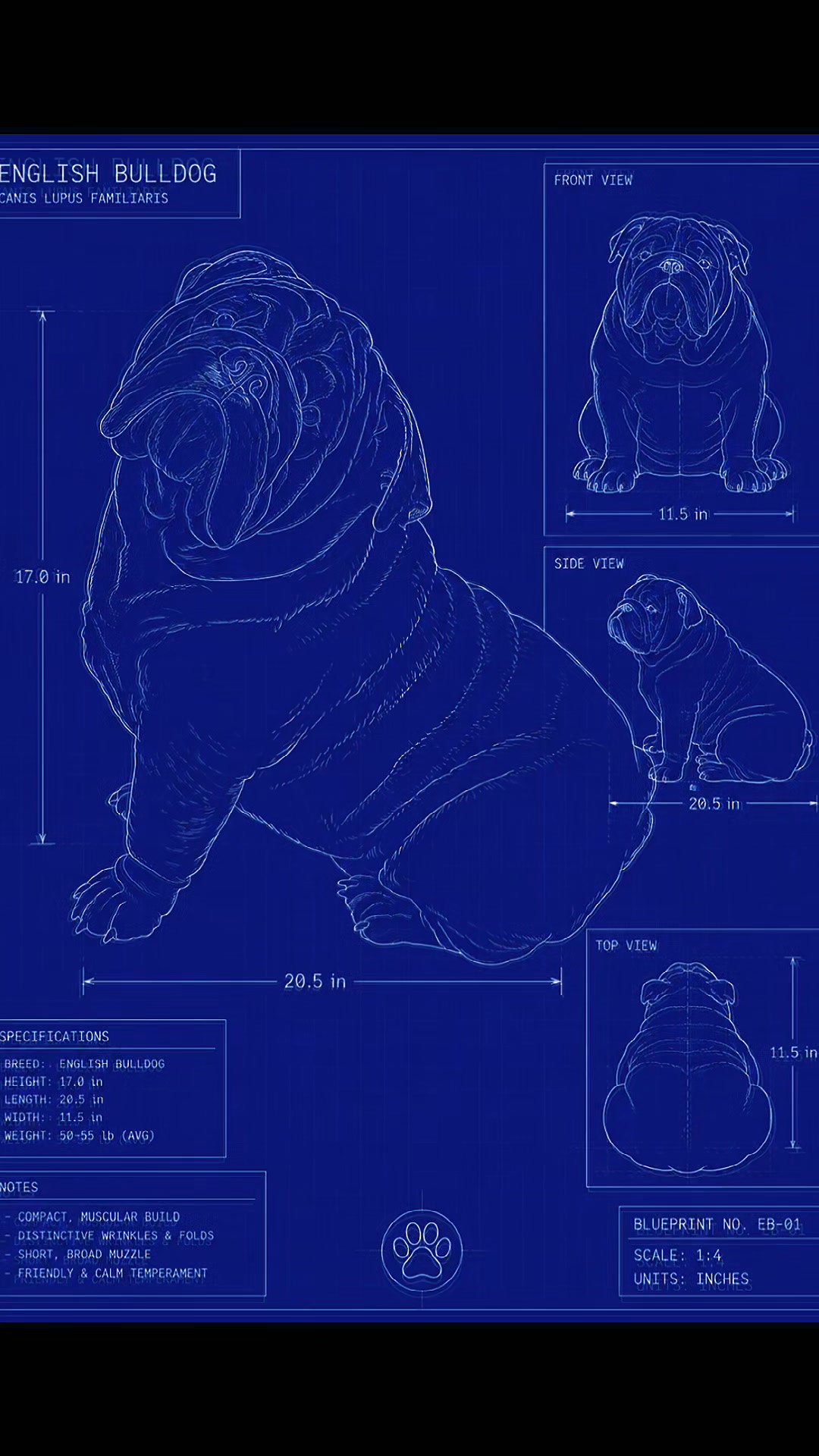 @Flemgang Bully Kennel👑🐾💜✨