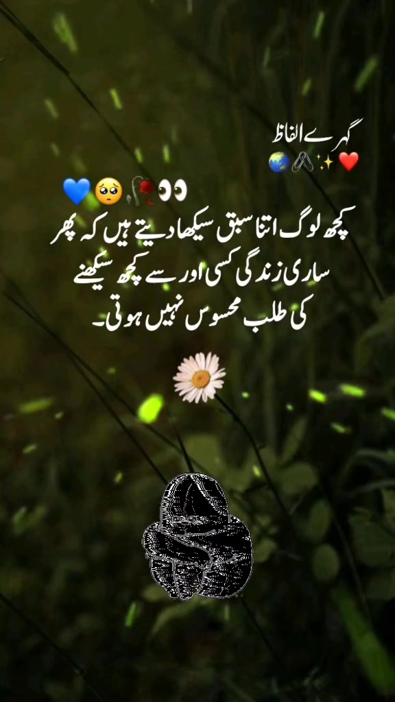 @Hibu tiktok