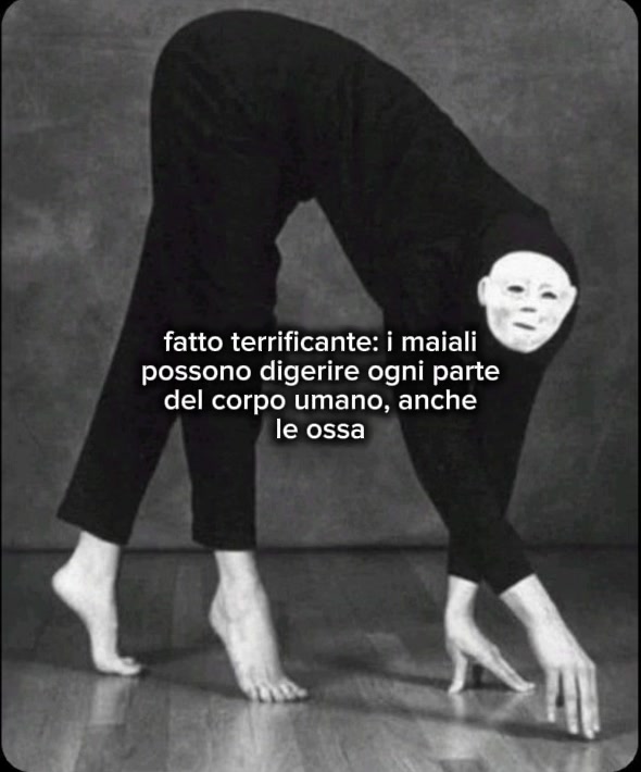 @deaster