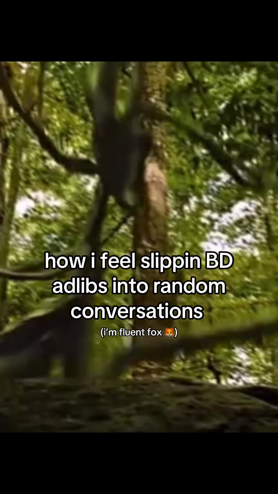 @Kam