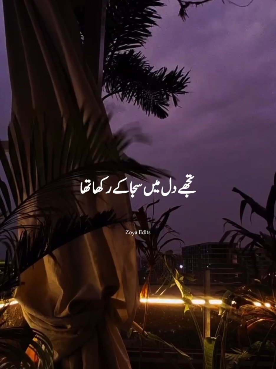 @𝐙𝐨𝐲𝐚 𝐄𝐝𝐢𝐭𝐳 💫