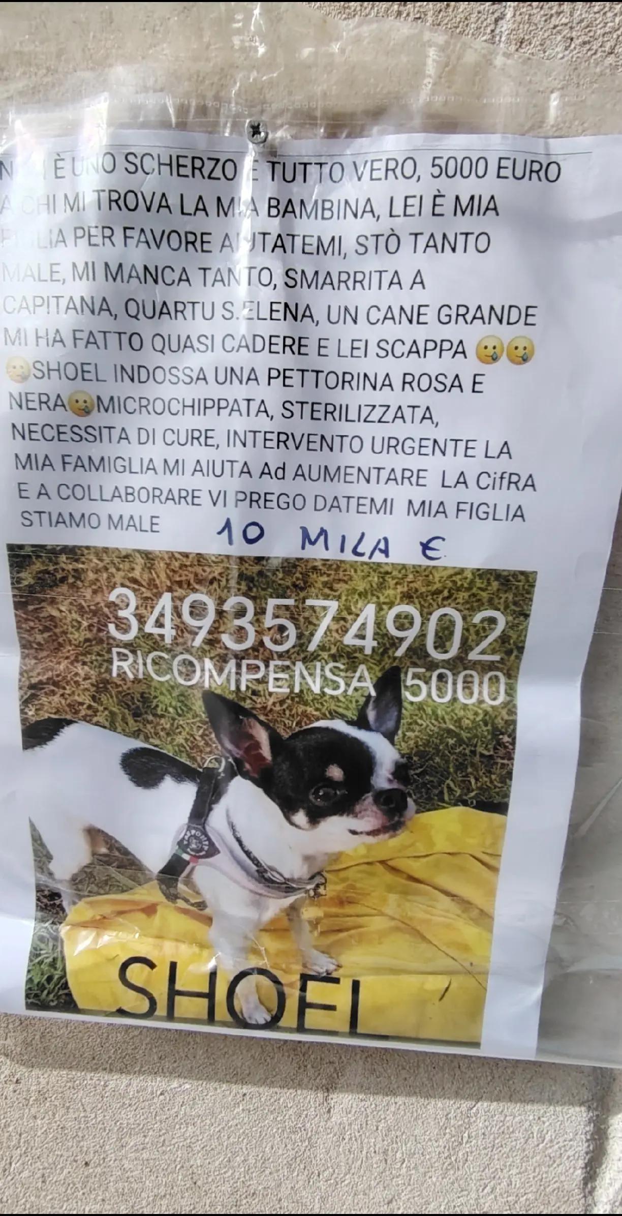 @GLI Sgomberi DI Monica paderi
