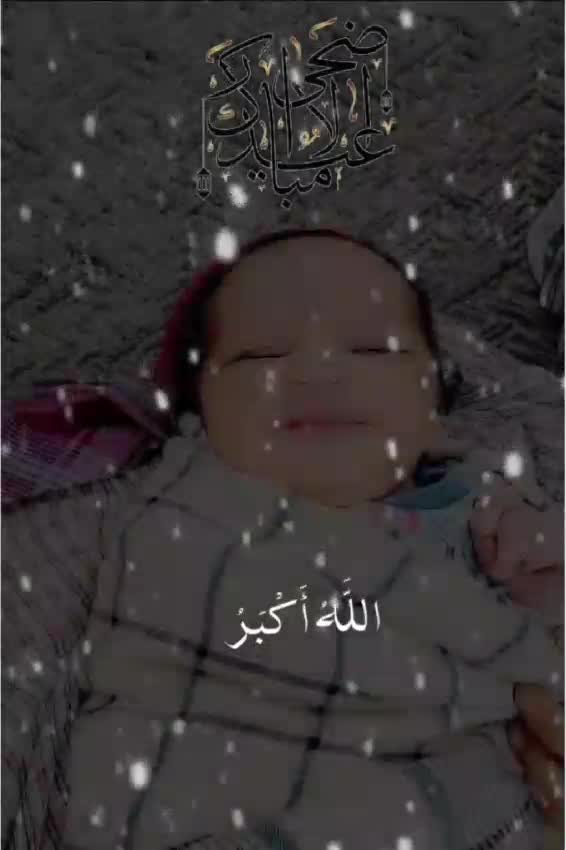 @Rana Maroof