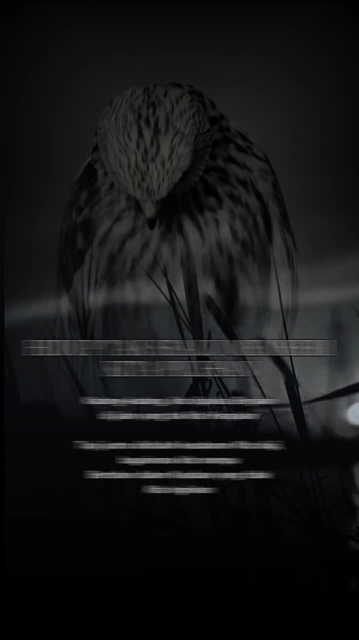 @ᥫ᭡ᴄᴇᴏ_ᴏғ_sᴛᴏʀʏ