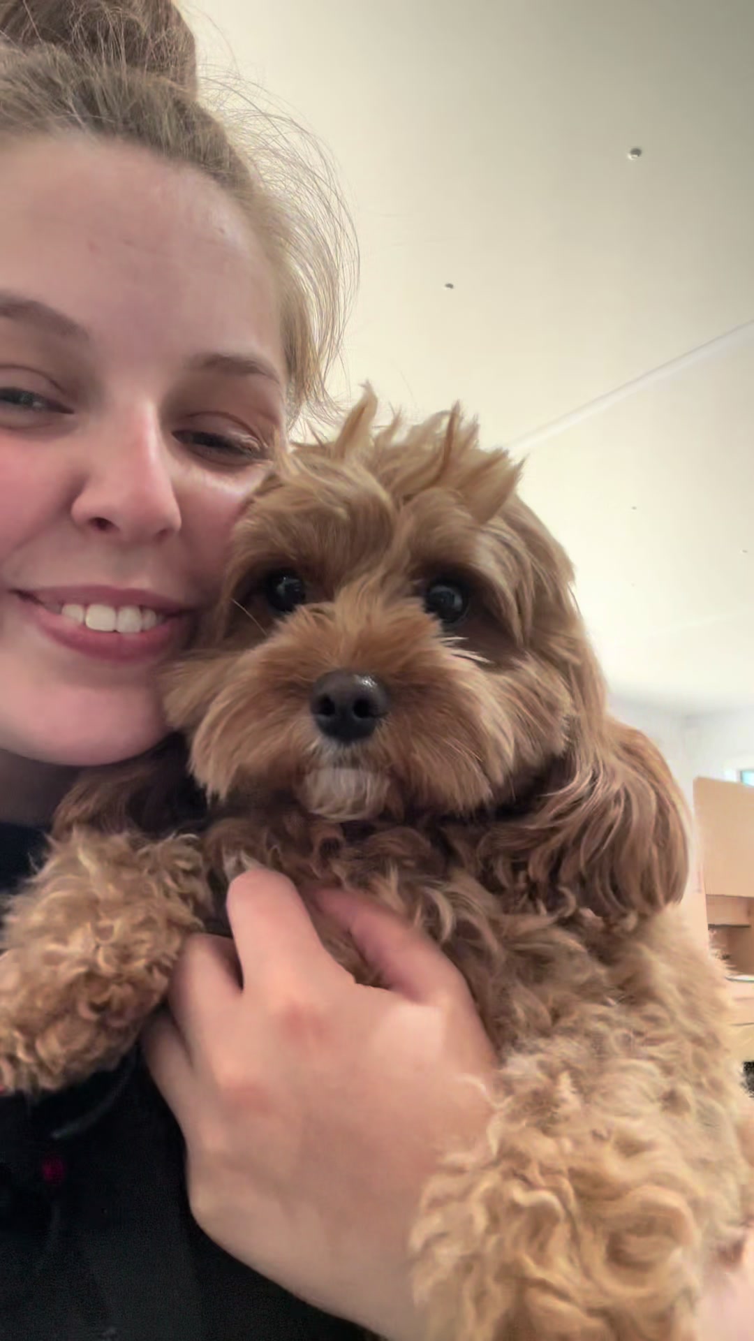 @madeleinesdoggrooming