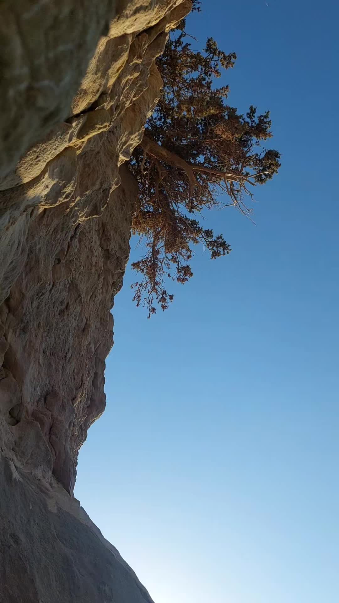 @Artemis_nature