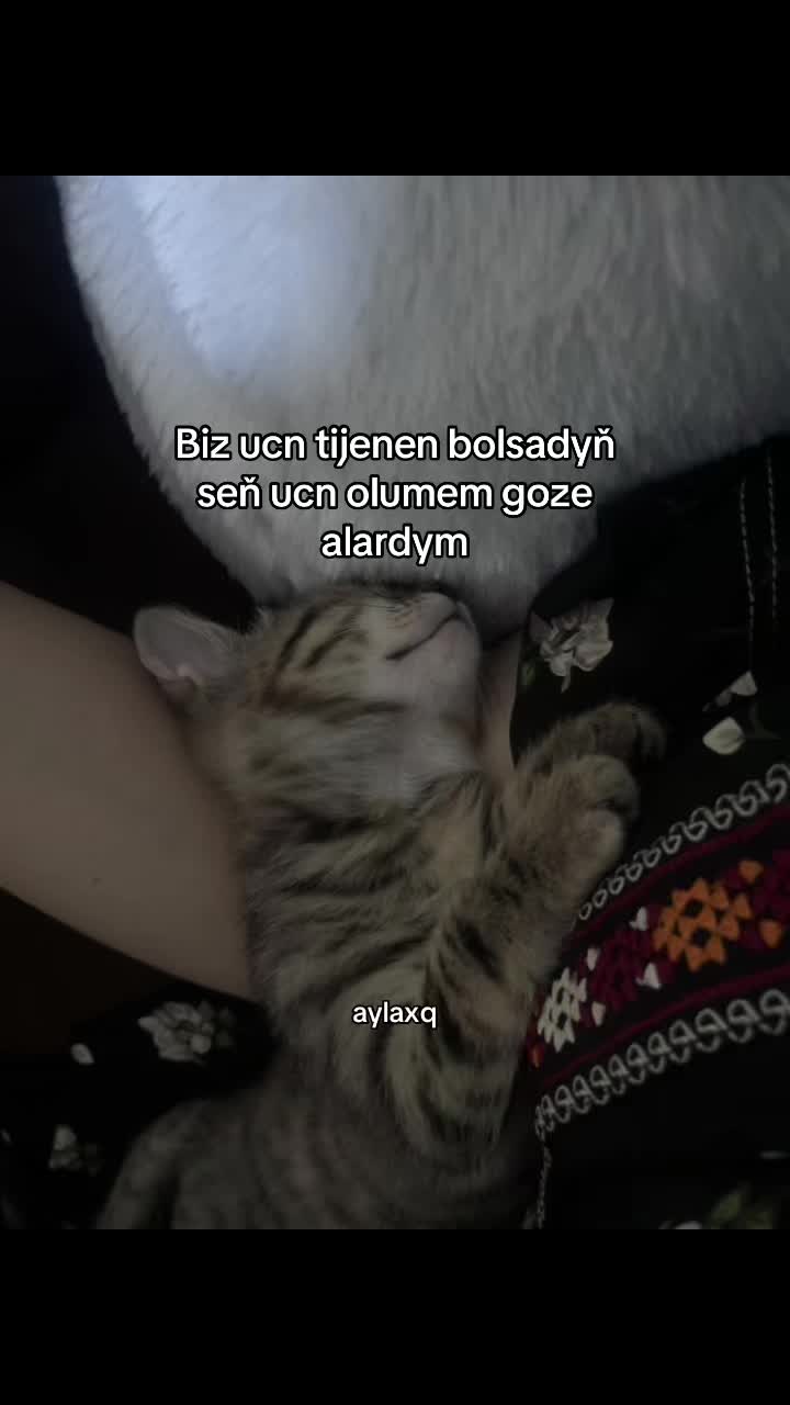 @𝓐𝔂𝓵𝓪𝓪&rsquo;