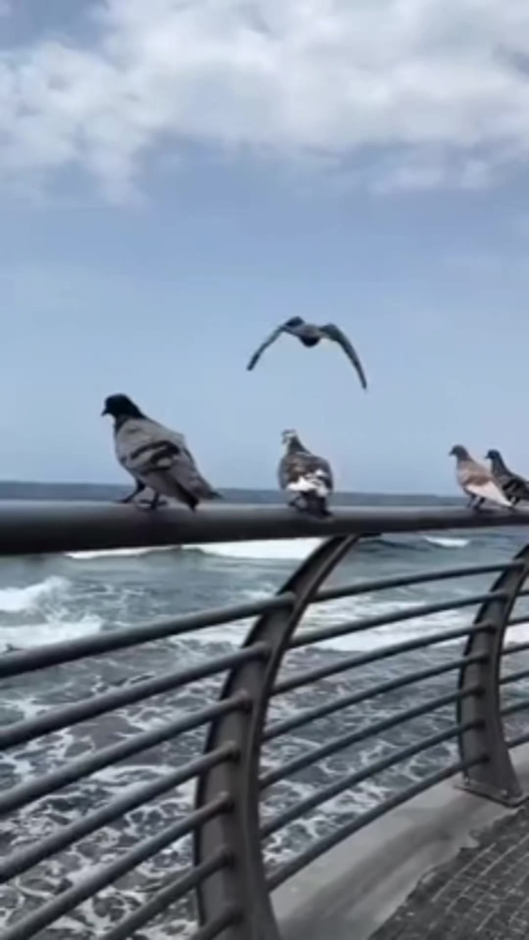 @Жанар Бегасилова