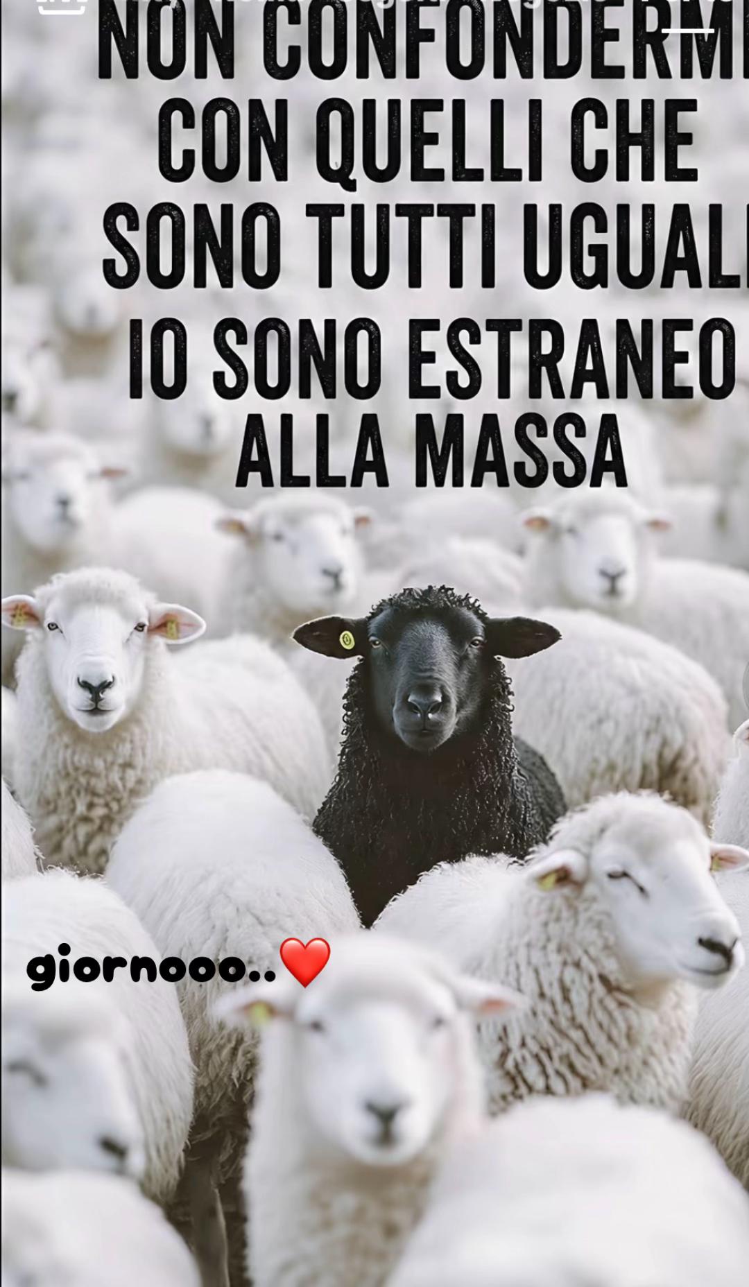 @🖤carmarty💙