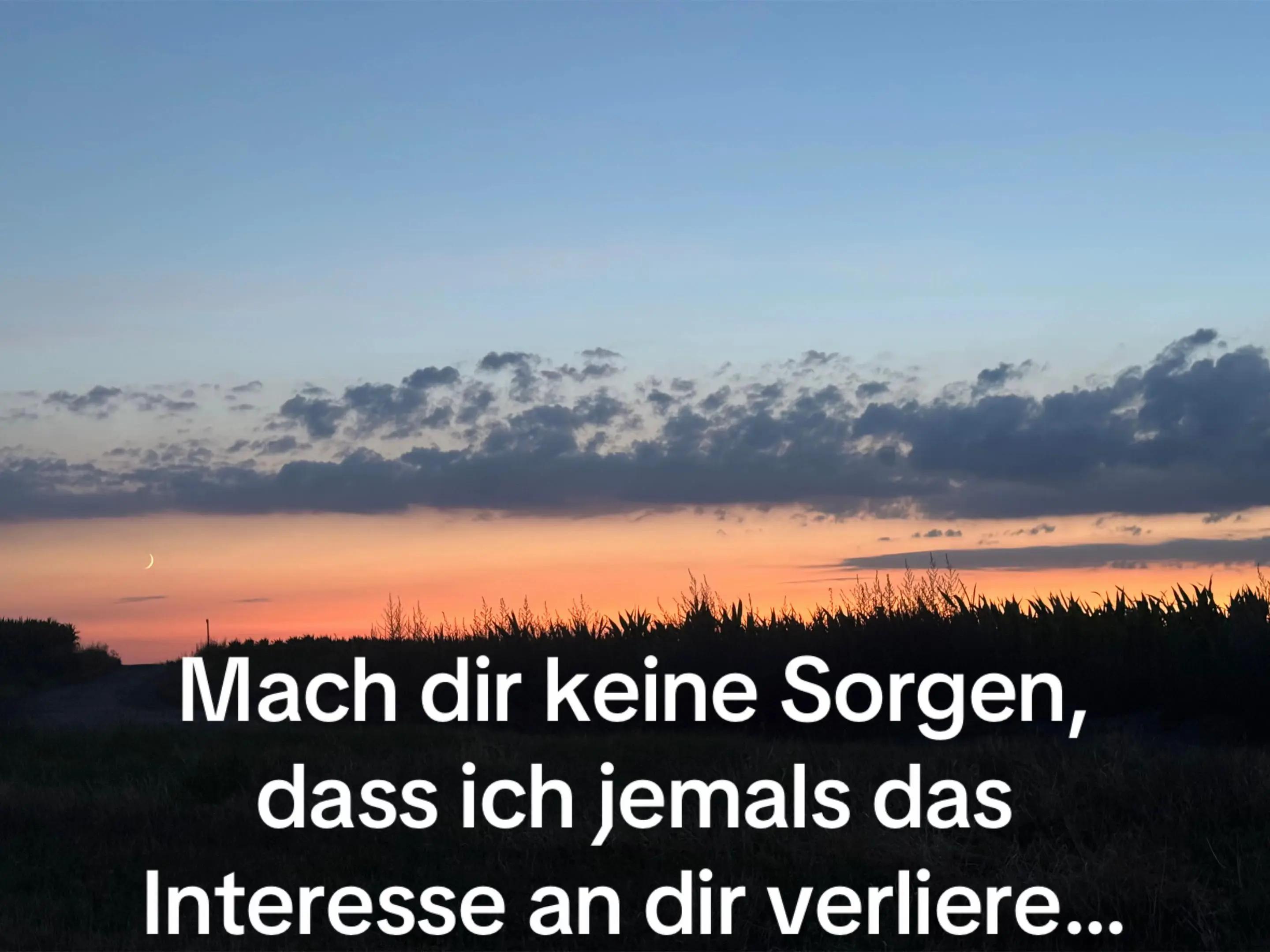 @🐺 Zieh mit den W&ouml;lfen 🐺
