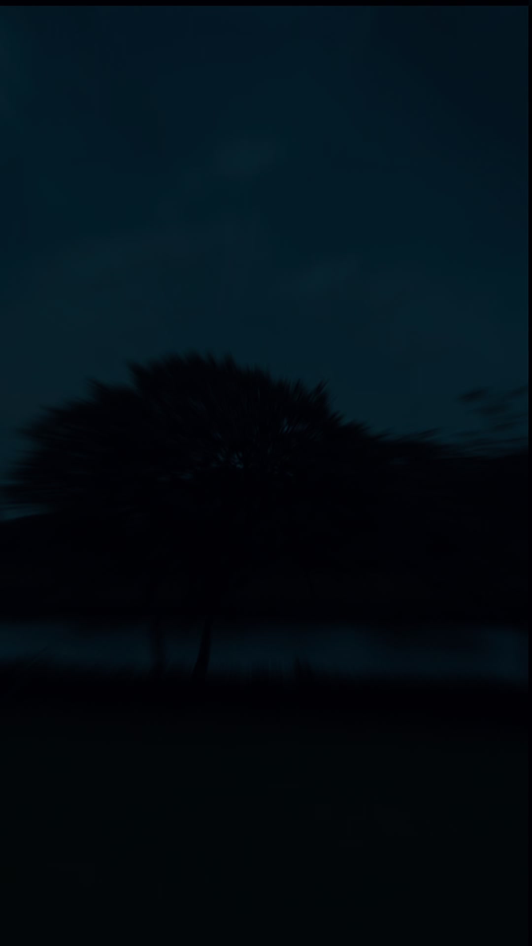 @V🕊️