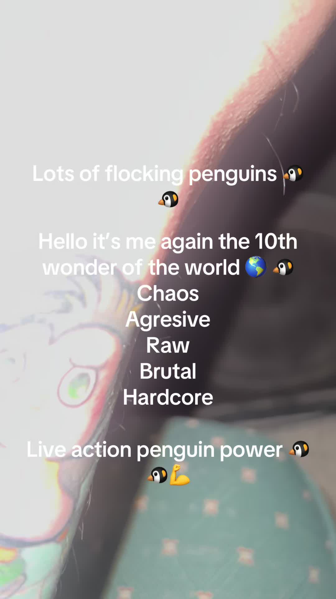 @kevinelseg