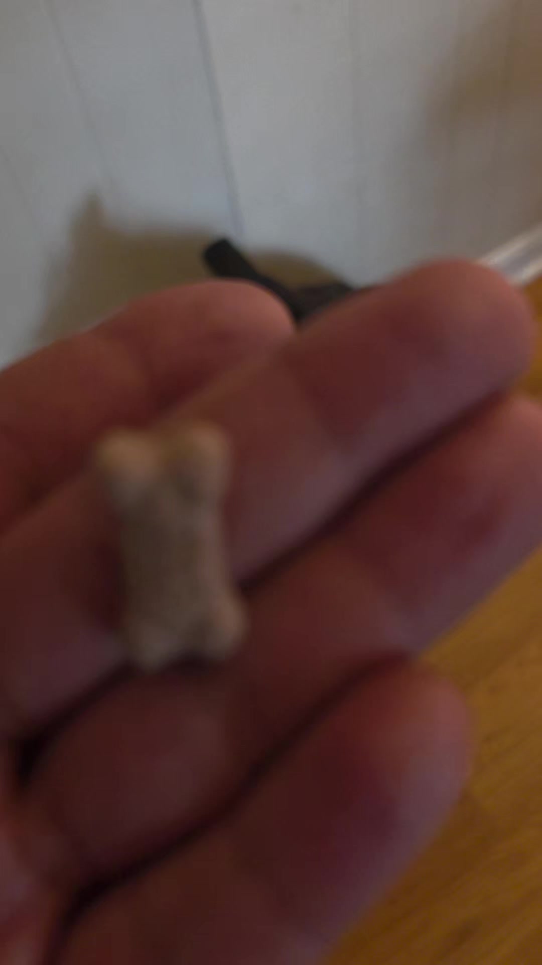 @Ezzz