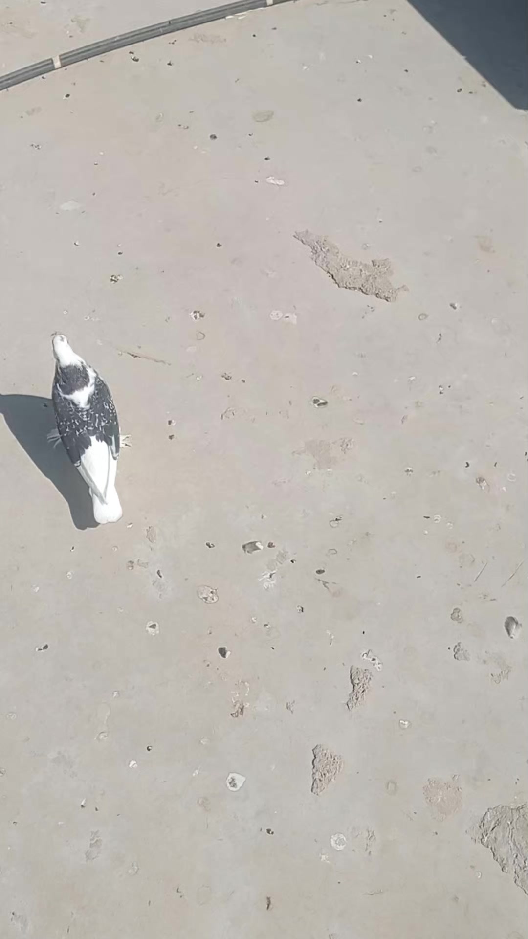 @deniz kayıkcı 73