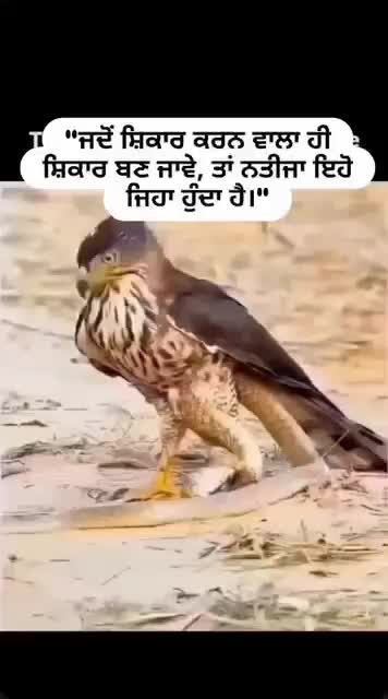 @ਭੰਗੂ ਸਾਹਿਬ
