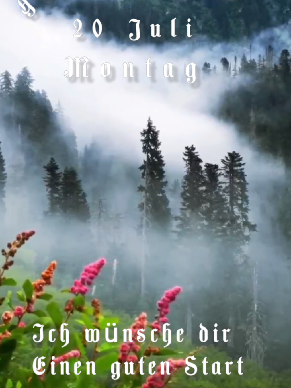 @Ирина goodmorning