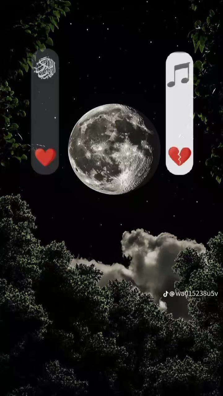@🐺𝓨𝓸𝓾𝓼𝓼𝓯 𝓐𝓫𝓸 𝓢𝓪𝓲𝓮