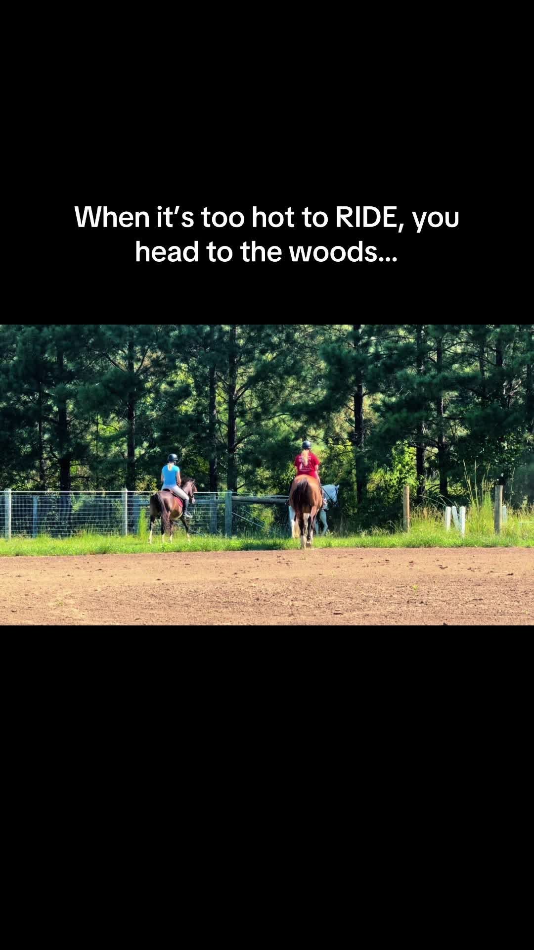 @NKEquestrian