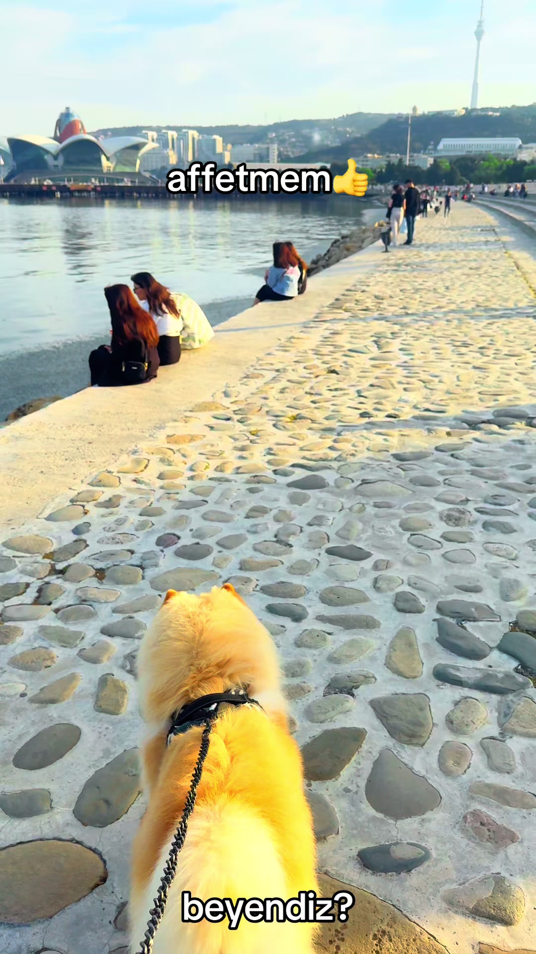 @tobi_bakılı