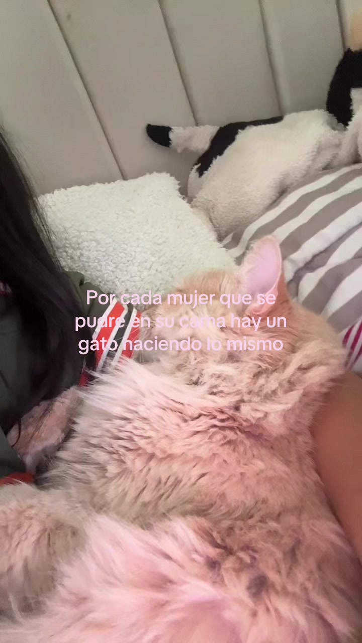 @Danna Ruiz
