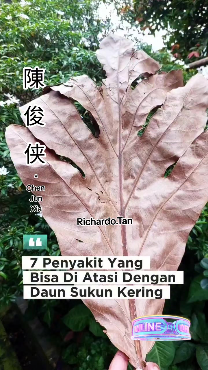 @陈俊侠.Richardo Tan