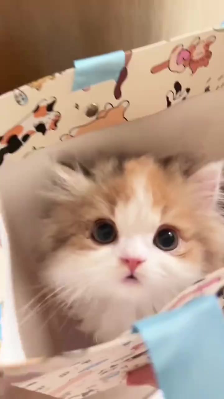 @trạm cute