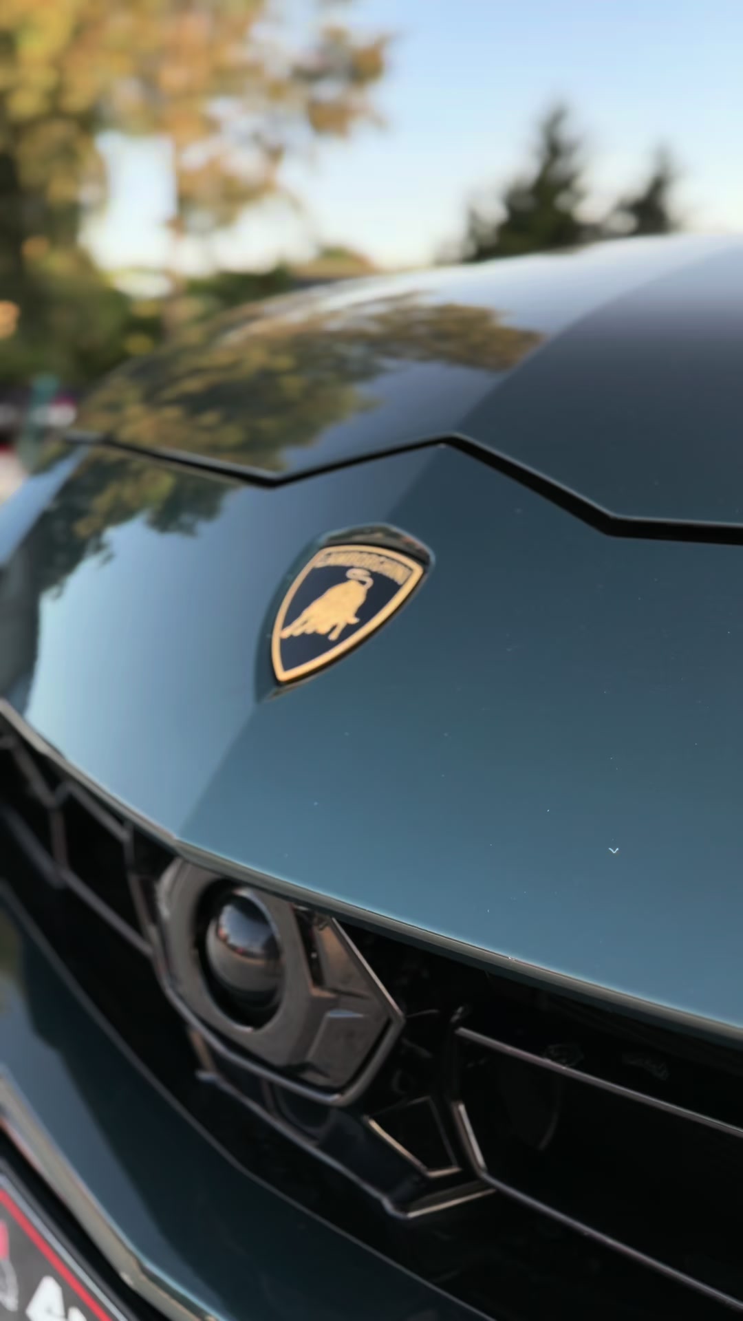 @AUTO ANDI