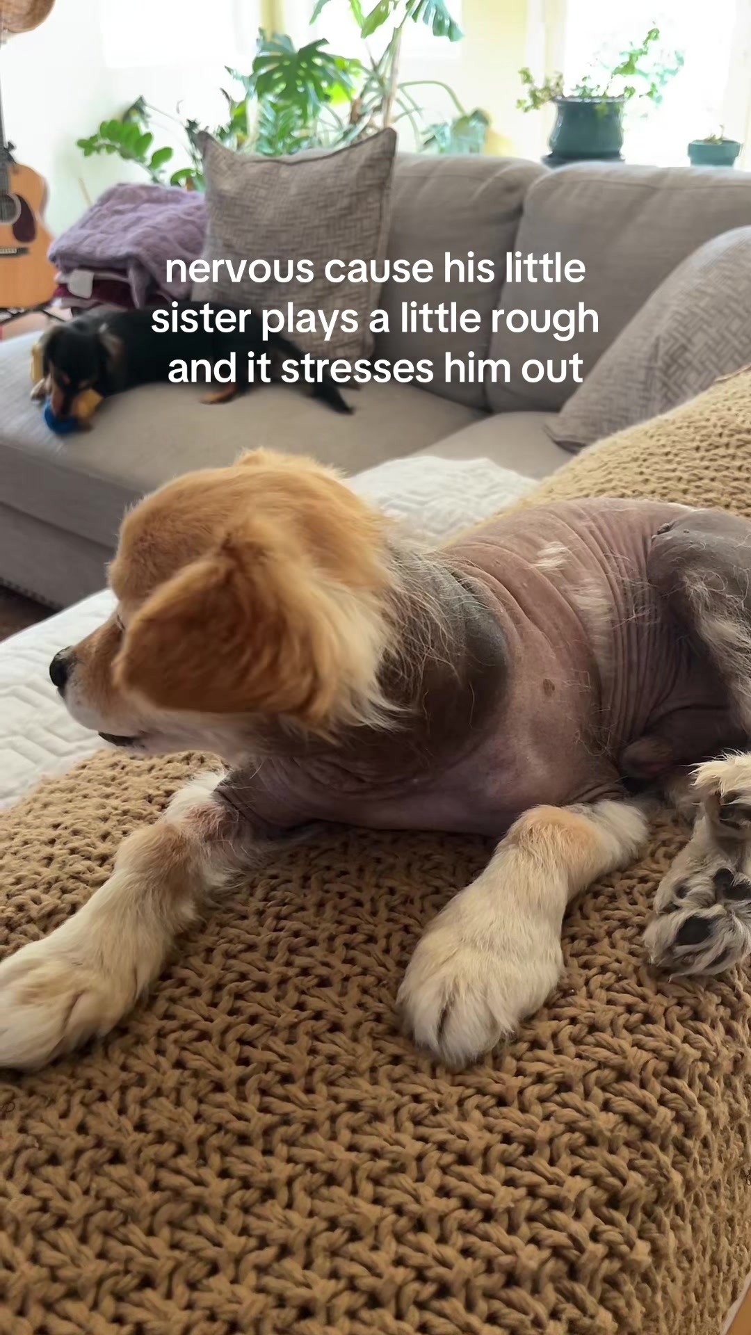 @kingpep