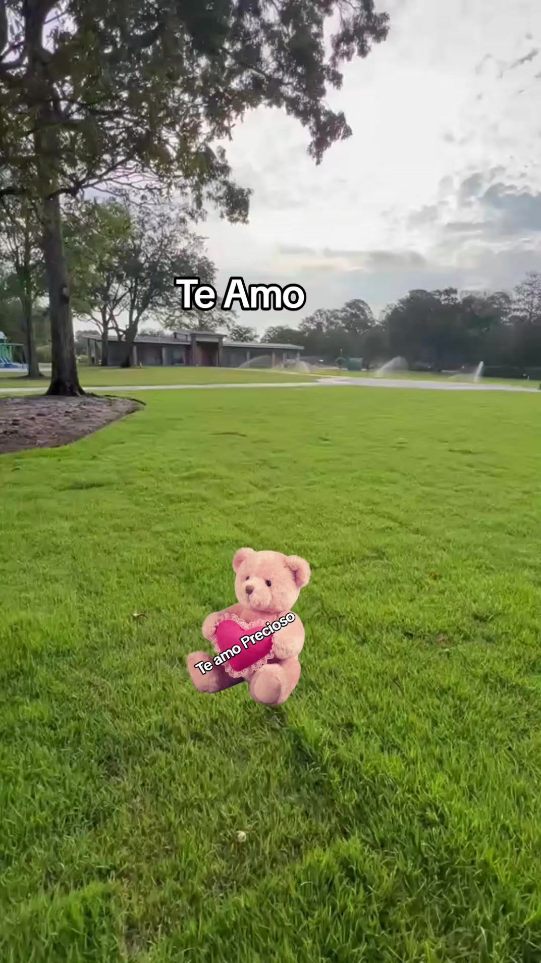 @La Sirenita