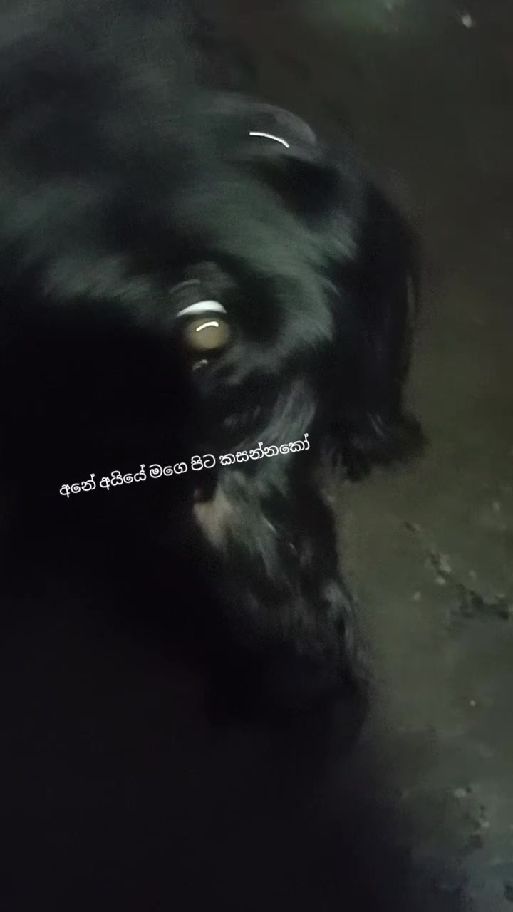@Mr.MD🤨😃