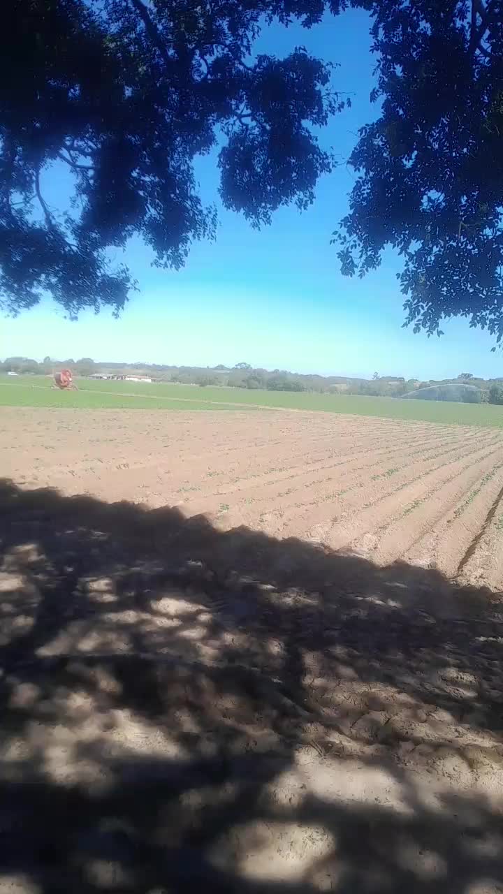 @laerciomarques26