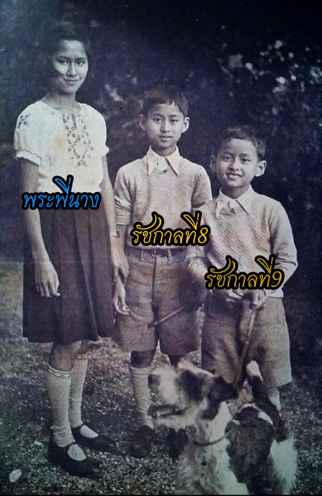 @ประวัติศาสตร์ราชวงศ์ไทย💛🇹🇭