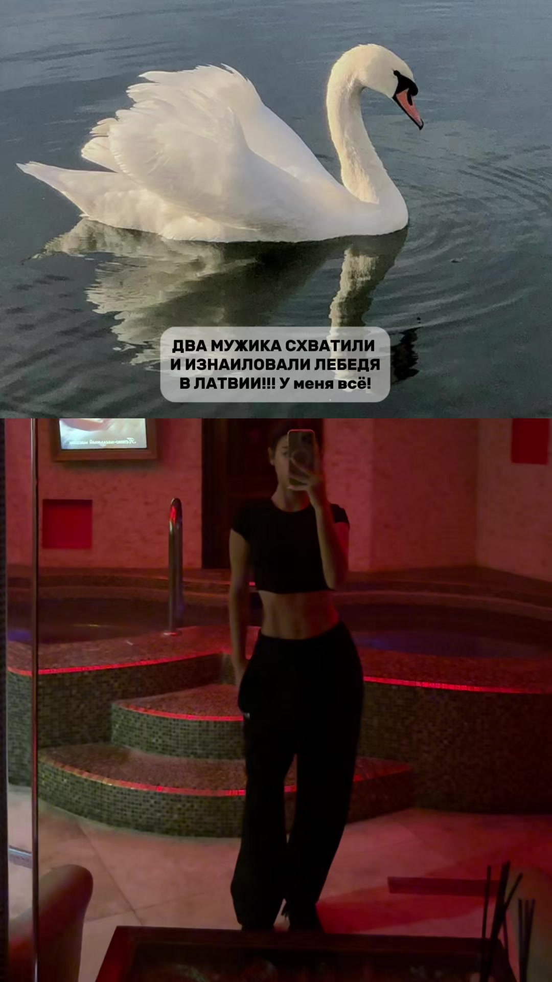 @Farida Shirinova
