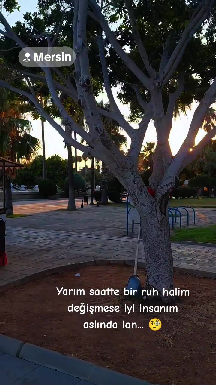 @tc.&ccedil;erkeskızı