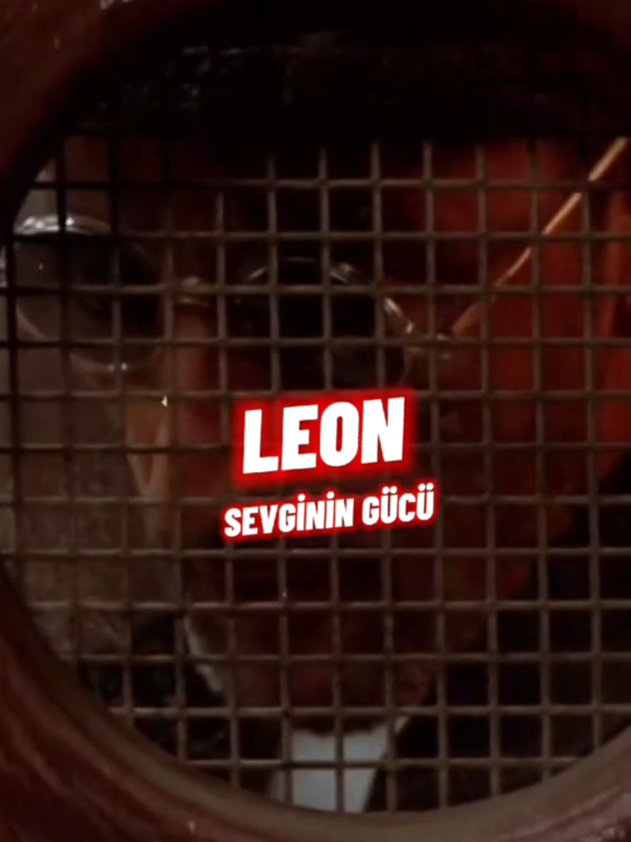 @YAŞAR MİRZALLI