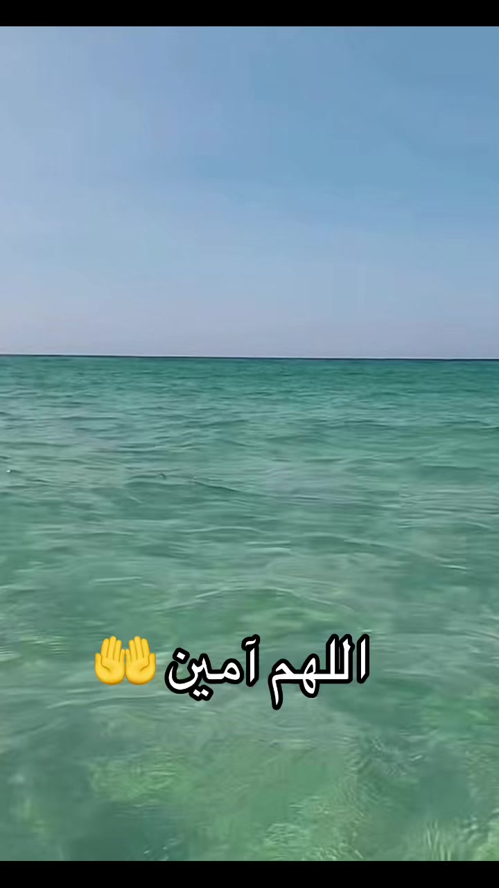 @Omfarouk_7