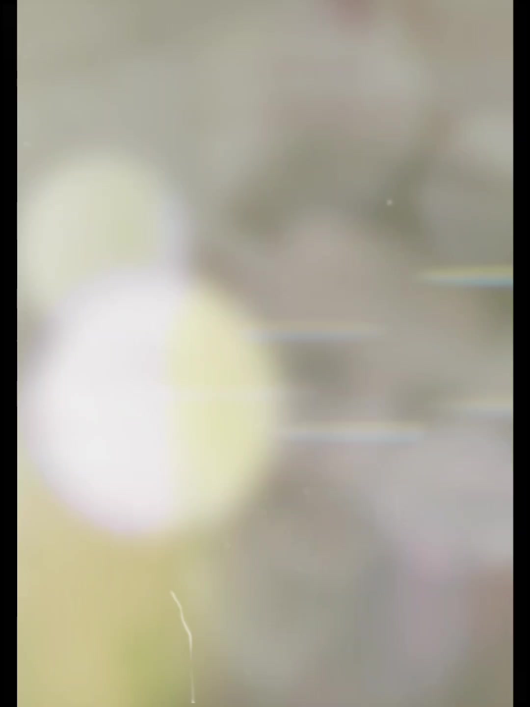 @∘ 𝙨 𝙪 𝙣 𝙣 𝙮 🪐