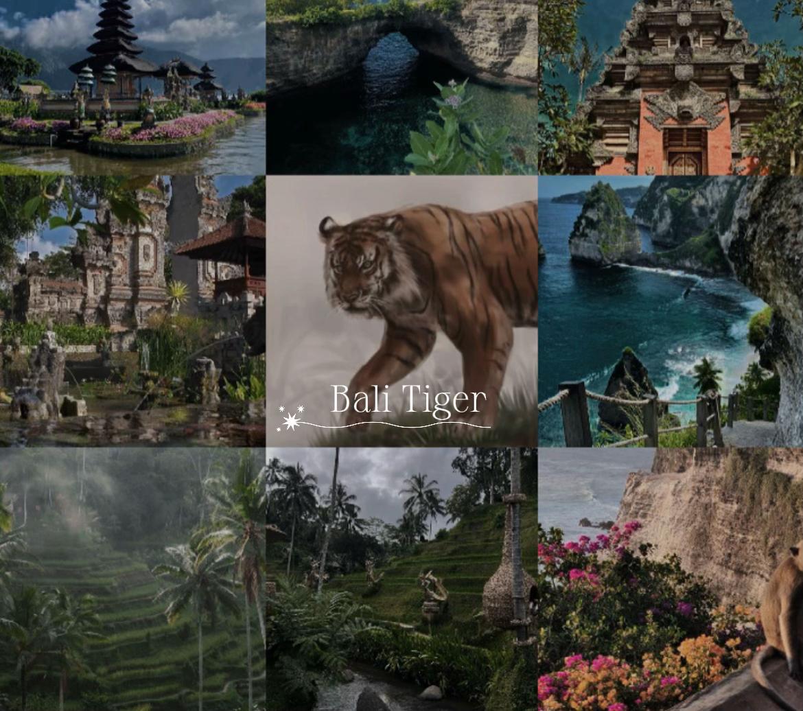 @ღ # 𝑻𝑰𝑮𝑹𝑬𝑺𝑺. 🐅 ❦